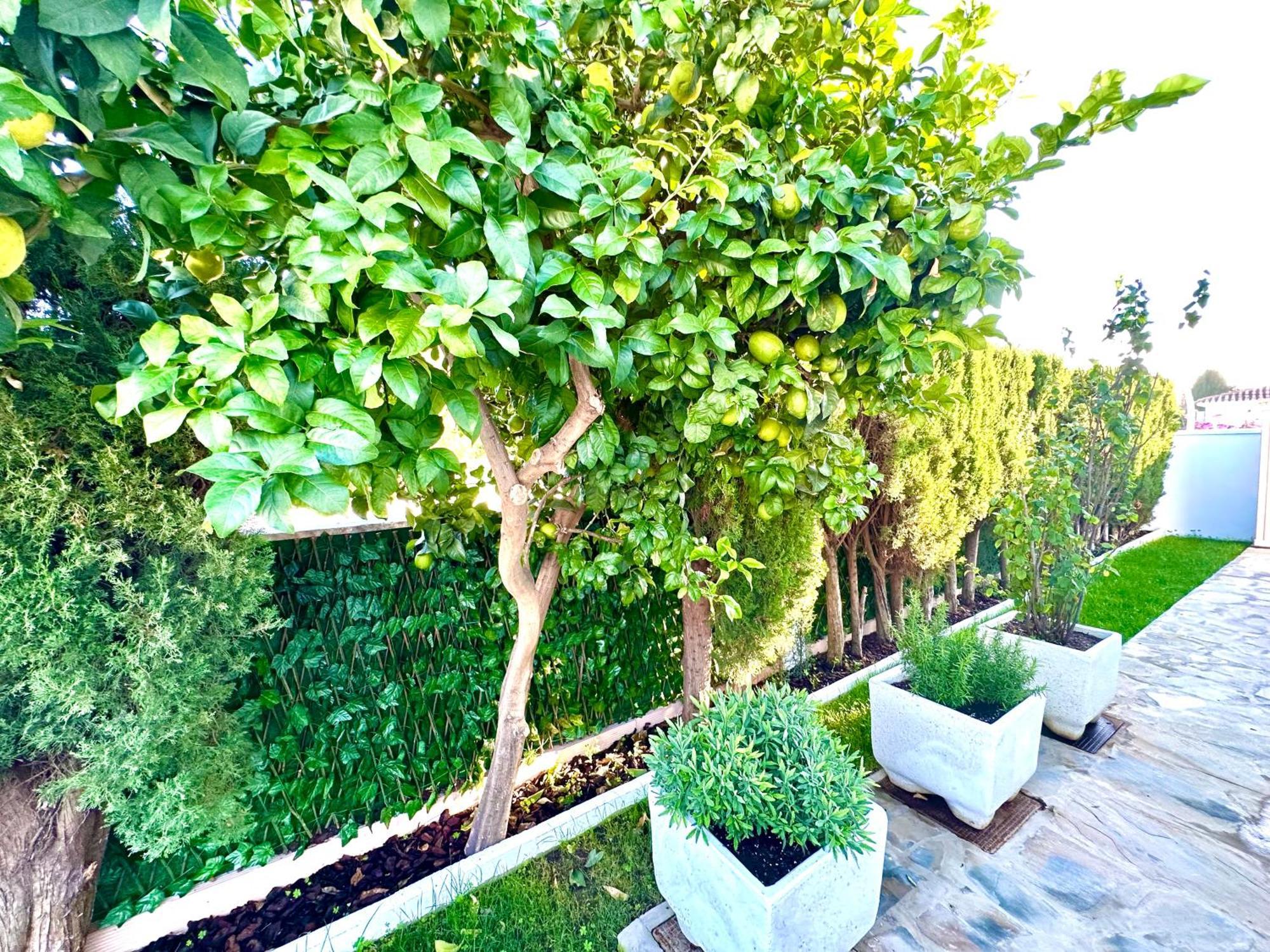 Villa Casacara Marbella Beachside Costabella -Spain 外观 照片